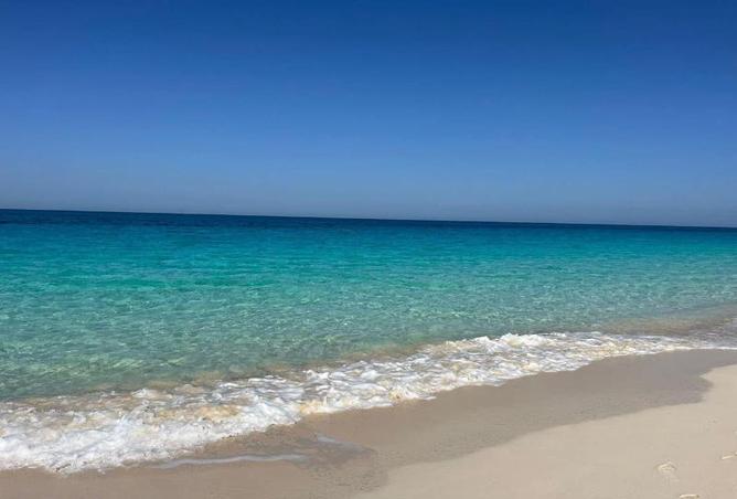 8232828 - Property Image 3