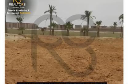 قطعة أرض - استوديو للبيع في طريق القاهرة الأسكندرية الصحراوى - كينج مريوط - حي العامرية - الاسكندرية