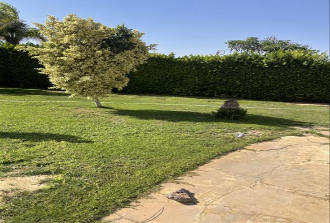 8136138 - Property Image 2