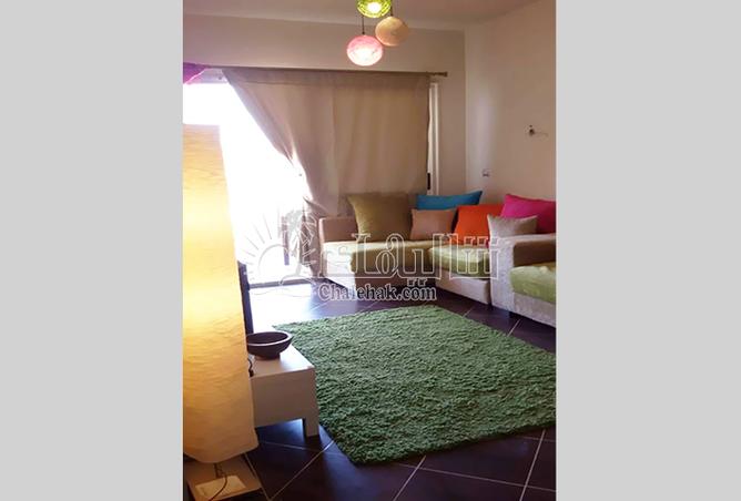 7984865 - Property Image 3