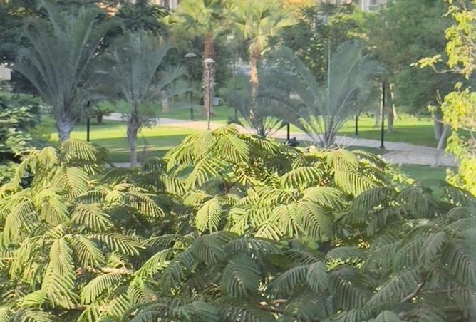 7950399 - صورة العقار 2