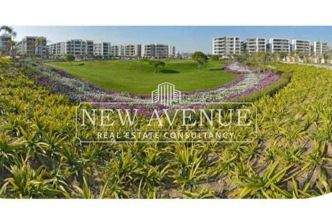 7902765 - Property Image 3