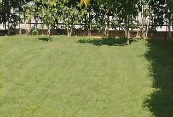 7899644 - صورة العقار 2
