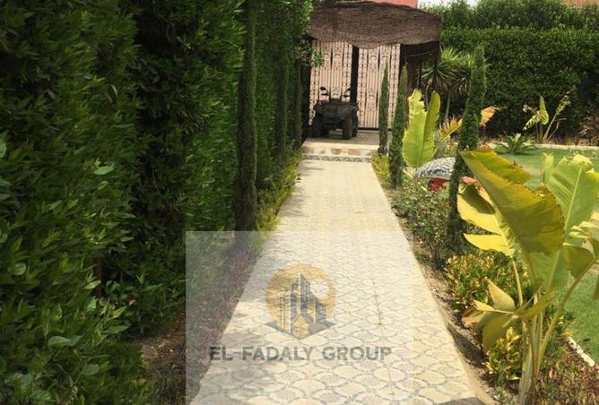 8362474 - Property Image 3