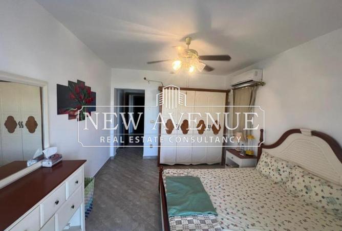 8162172 - Property Image 2