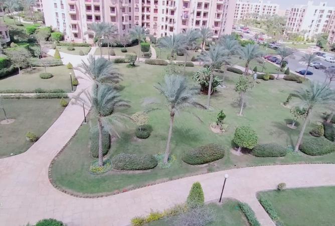 8091377 - Property Image 3