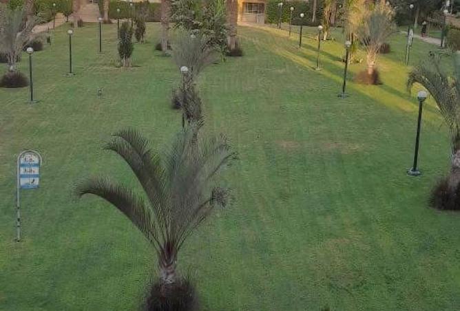 8376718 - الصورة الرئيسية للعقار