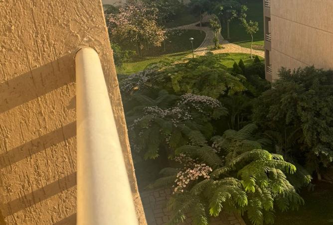 8231435 - صورة العقار 2