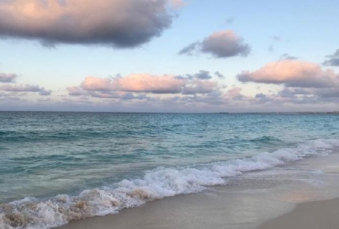 8247589 - صورة العقار 3