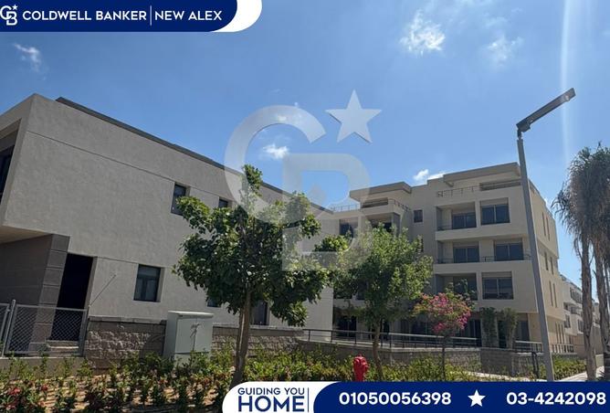 8043766 - Property Image 3