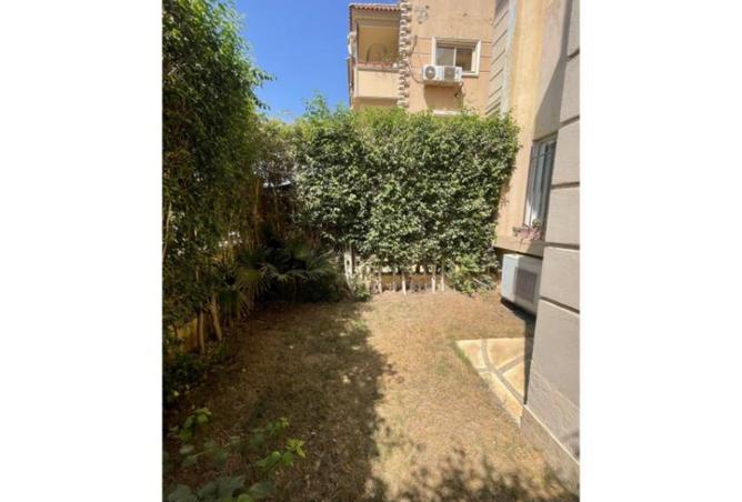 8388002 - صورة العقار 2