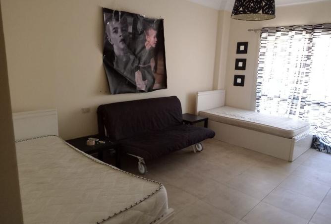 8425907 - Property Image 2