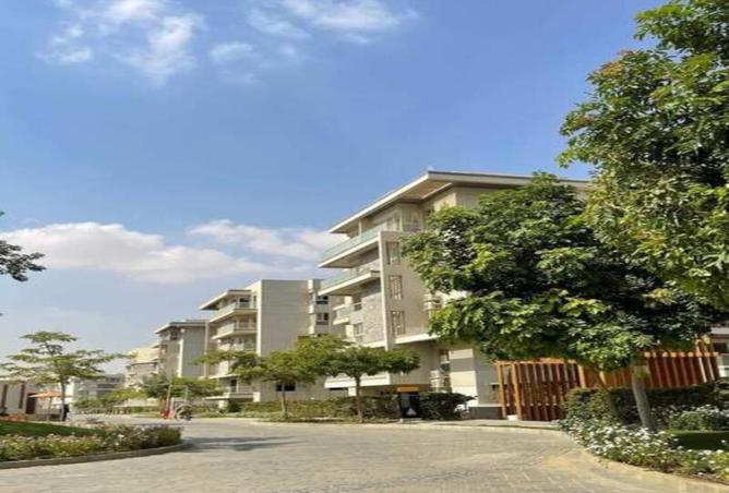 8059916 - Property Image 3