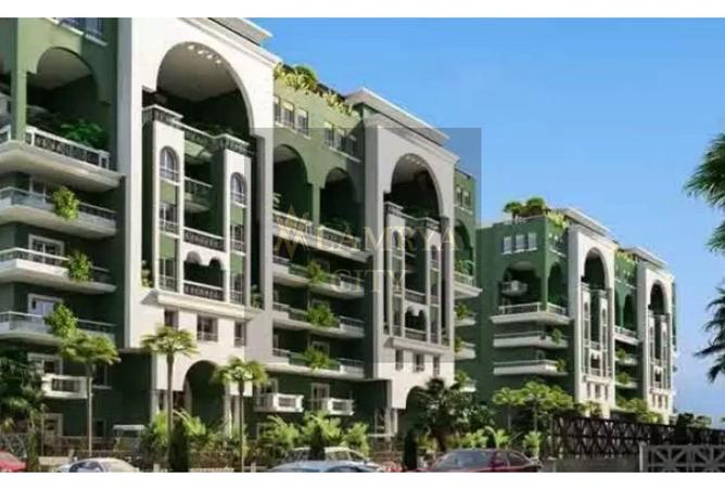 8347450 - Property Image 3