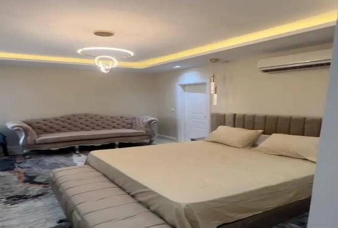 7996198 - Property Image 3