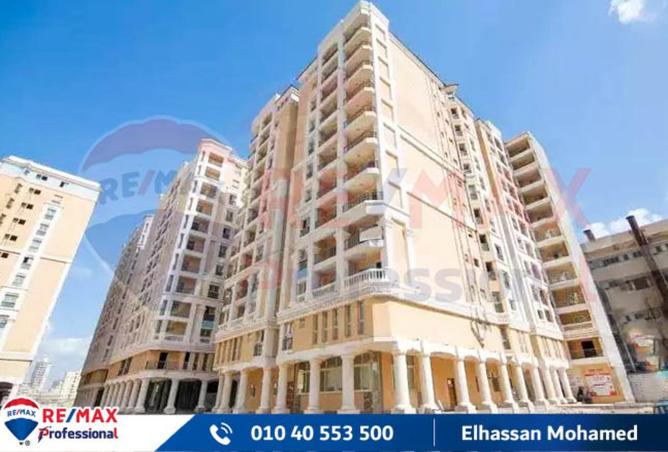 8177825 - Property Image 3