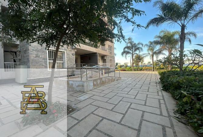 8397419 - Property Image 3