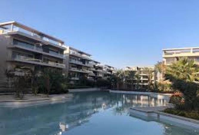 8248906 - Property Image 2