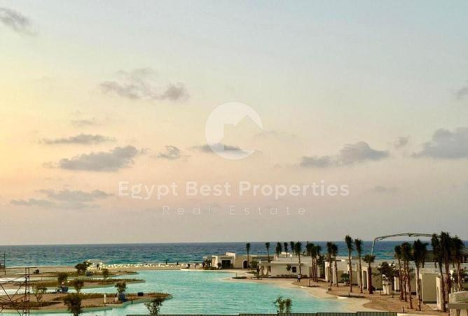 8428817 - Property Image 3