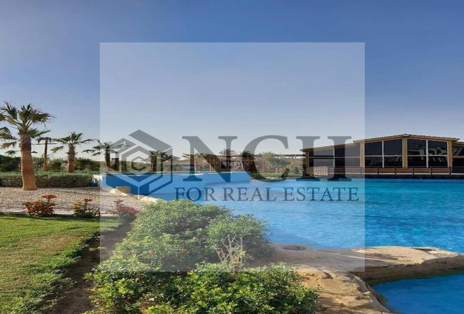7982119 - Property Image 2