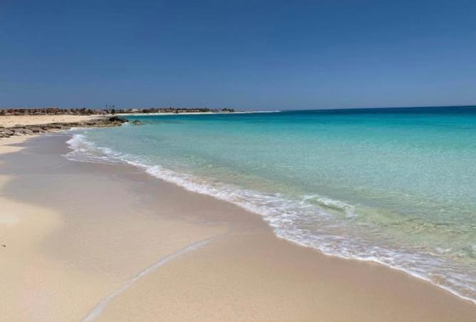 8538614 - صورة العقار 3