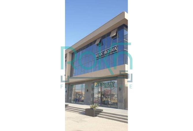 7905494 - صورة العقار 3