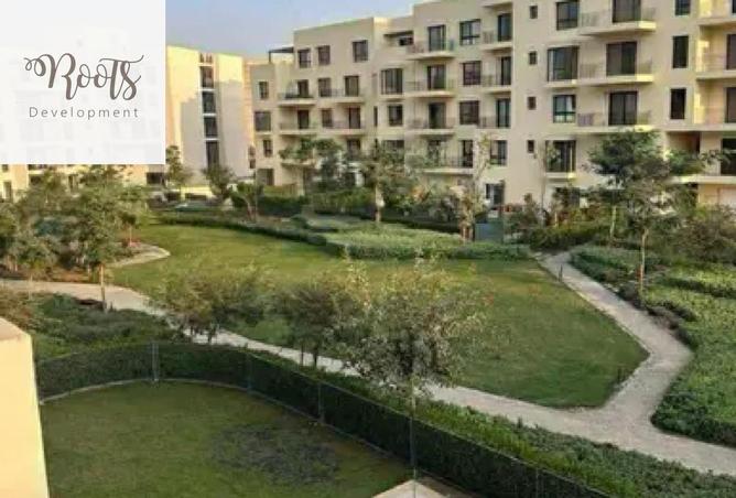 8381532 - Property Image 3