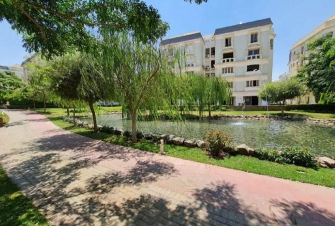 8074675 - Property Image 2