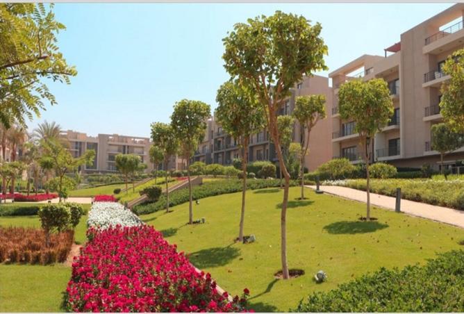 8098586 - Property Image 2