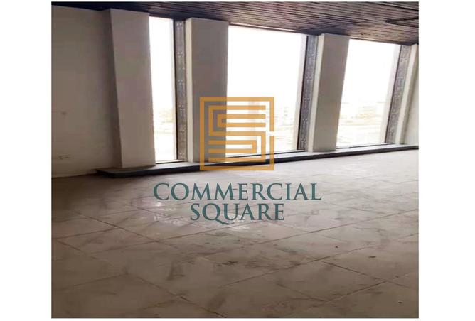7974530 - Property Image 3