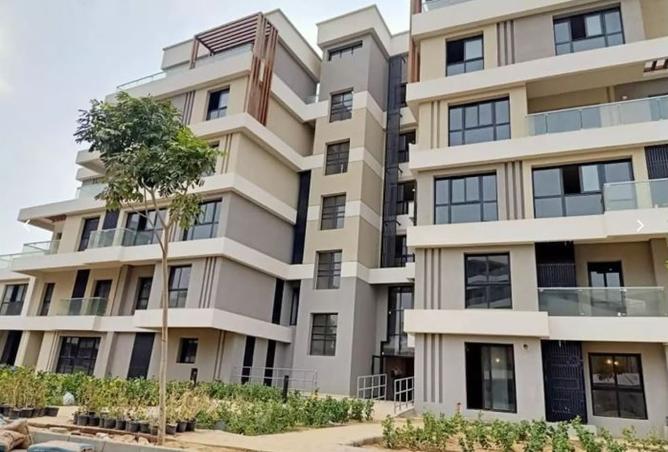 8449644 - Property Image 3