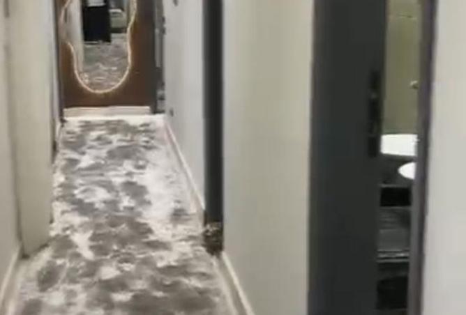 8307733 - Property Image 2