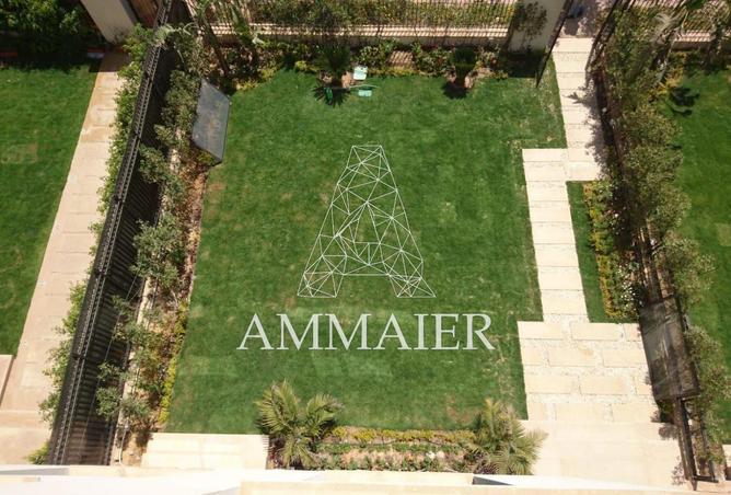 8243676 - صورة العقار 3