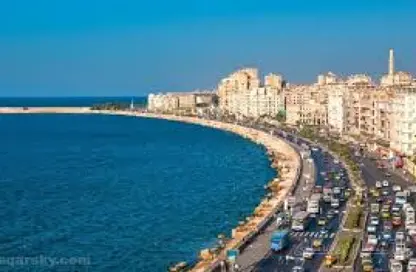 شقة - 3 غرف نوم - 1 حمام للبيع في شارع النصر - سموحة - حي شرق - الاسكندرية