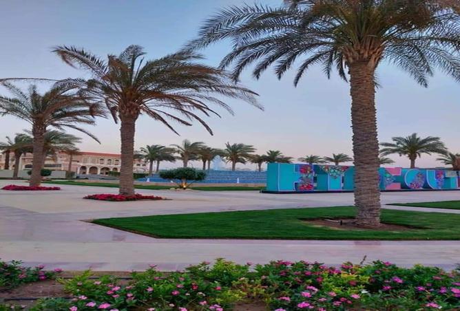 7974669 - Property Image 2