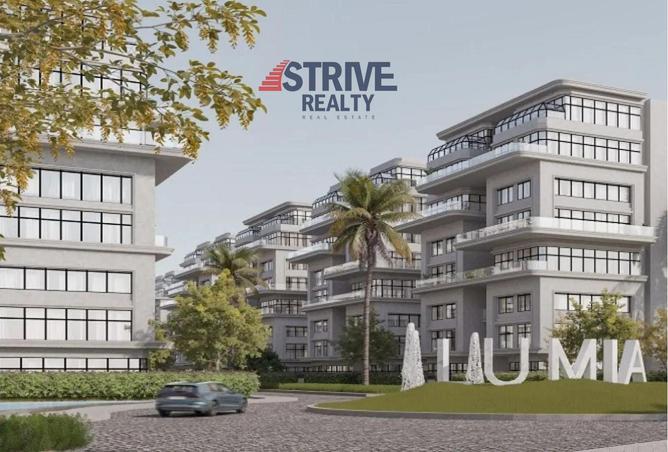 8412831 - Property Image 3