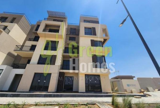 8418524 - Property Image 3