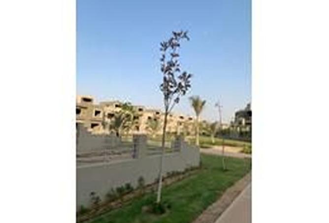 8403259 - الصورة الرئيسية للعقار