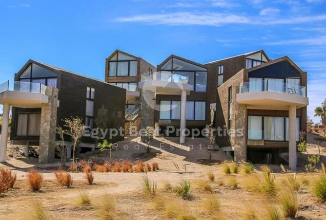 7906178 - Property Image 2