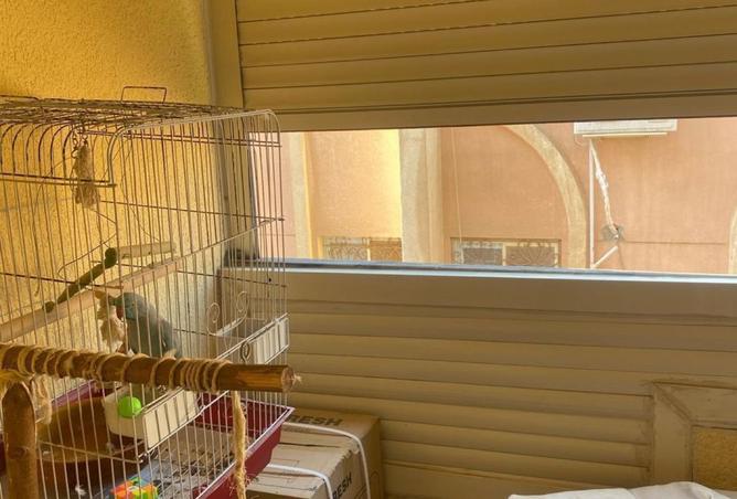 8257733 - صورة العقار 2