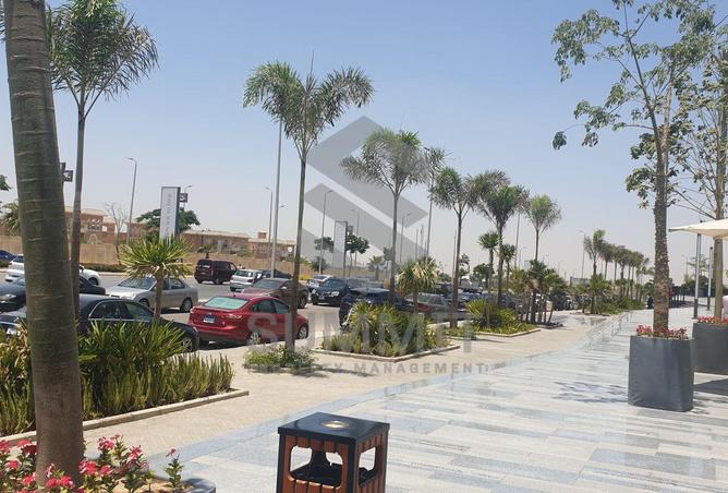 8306295 - Property Image 3