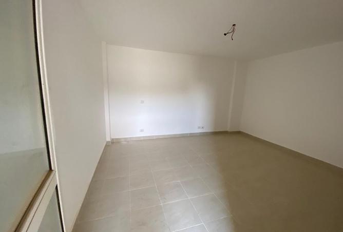 8217420 - Property Image 3