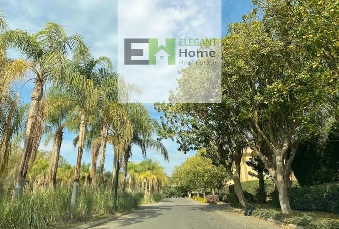 8137571 - Property Image 3