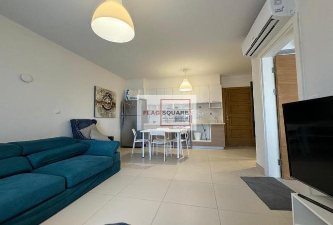 7980048 - Property Image 2