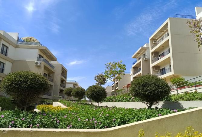 8379517 - Property Image 2