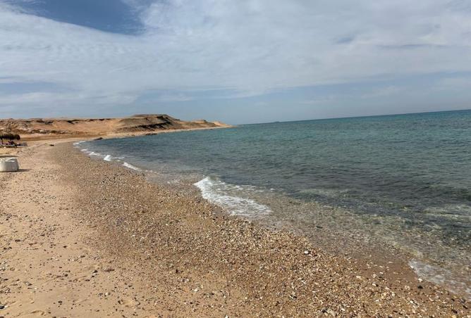 8476376 - صورة العقار 3