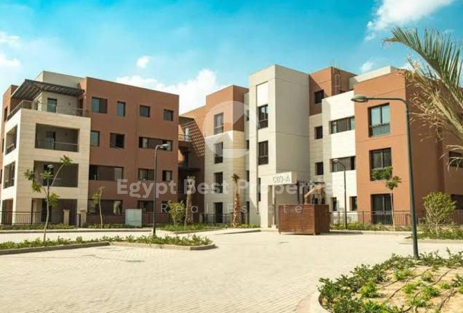 8151899 - صورة العقار 2