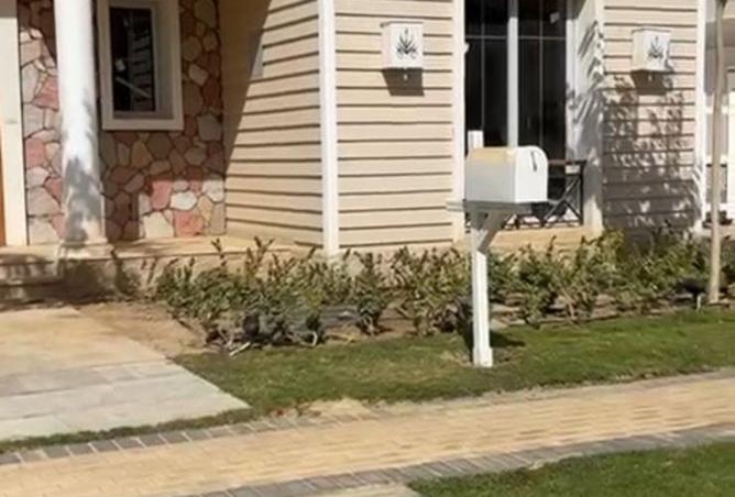 8324043 - صورة العقار 2