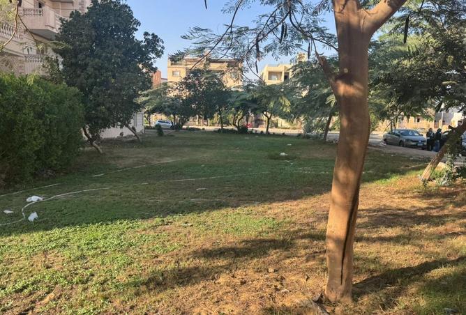 8306088 - الصورة الرئيسية للعقار