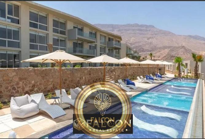 8416966 - Property Image 3